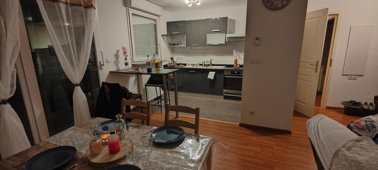Appartement Rez-De-Chausse Dans Une Petite Ville Au Pied Du Massif Des Vosges Σαβέρν Εξωτερικό φωτογραφία